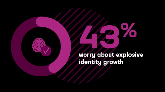 43% worry about explosive identity growth